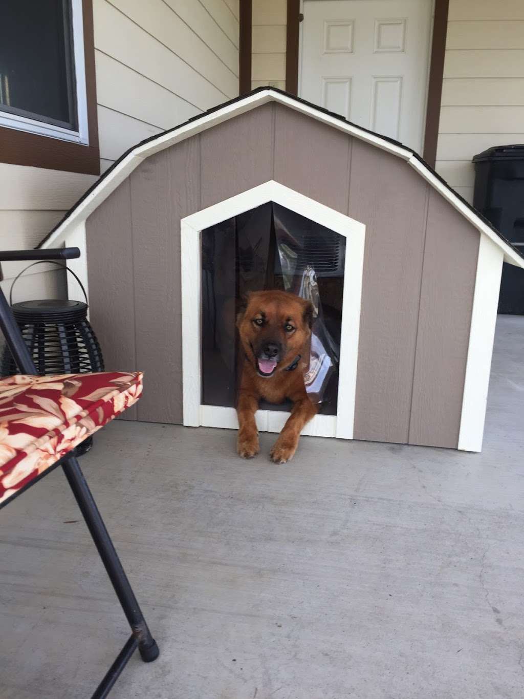 Ricky Lees Air Conditioned Dog Houses | 5023 N 54th Ave, Glendale, AZ 85301, USA | Phone: (623) 986-7430