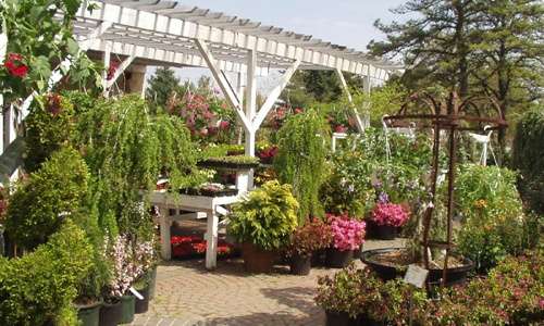 Paul Usaks Nursery & Garden Center | 686 Long Island Ave, Deer Park, NY 11729, USA | Phone: (631) 242-8186