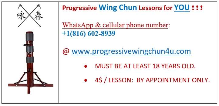 Progressive Wing Chun for YOU ! ! ! | 11804 N Farley Ave, Kansas City, MO 64157, USA | Phone: (816) 602-8939