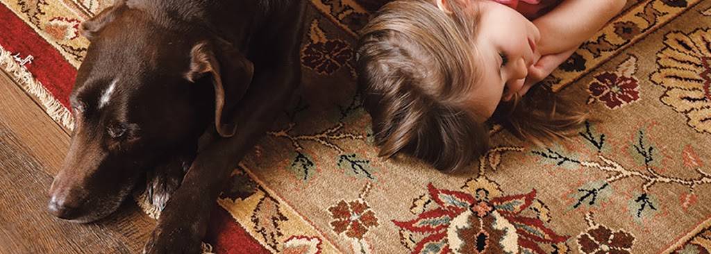 Rescue carpet and Rug College Park | 4900 Berwyn Rd, College Park, MD 20740, USA | Phone: (301) 259-3213