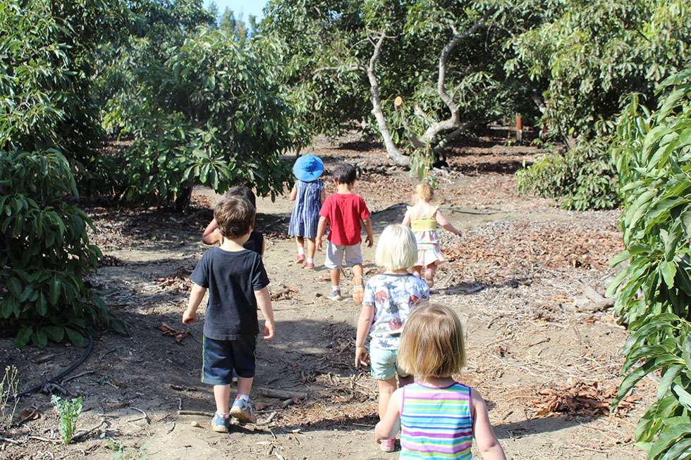 Farm School Childcare and Learning Center | 280 Cummings Rd, Santa Paula, CA 93060 | Phone: (805) 921-1781