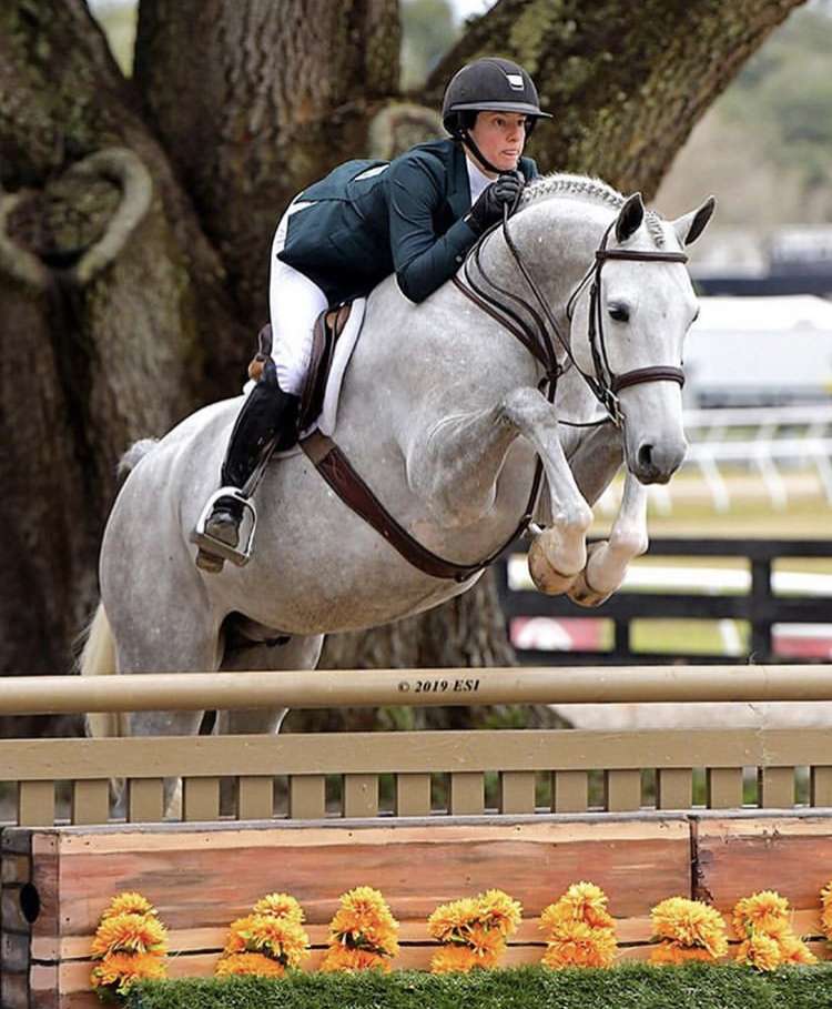 South Shore Riding Stables | 37 Corn Hill Ln, North Marshfield, MA 02059, USA | Phone: (508) 728-1665