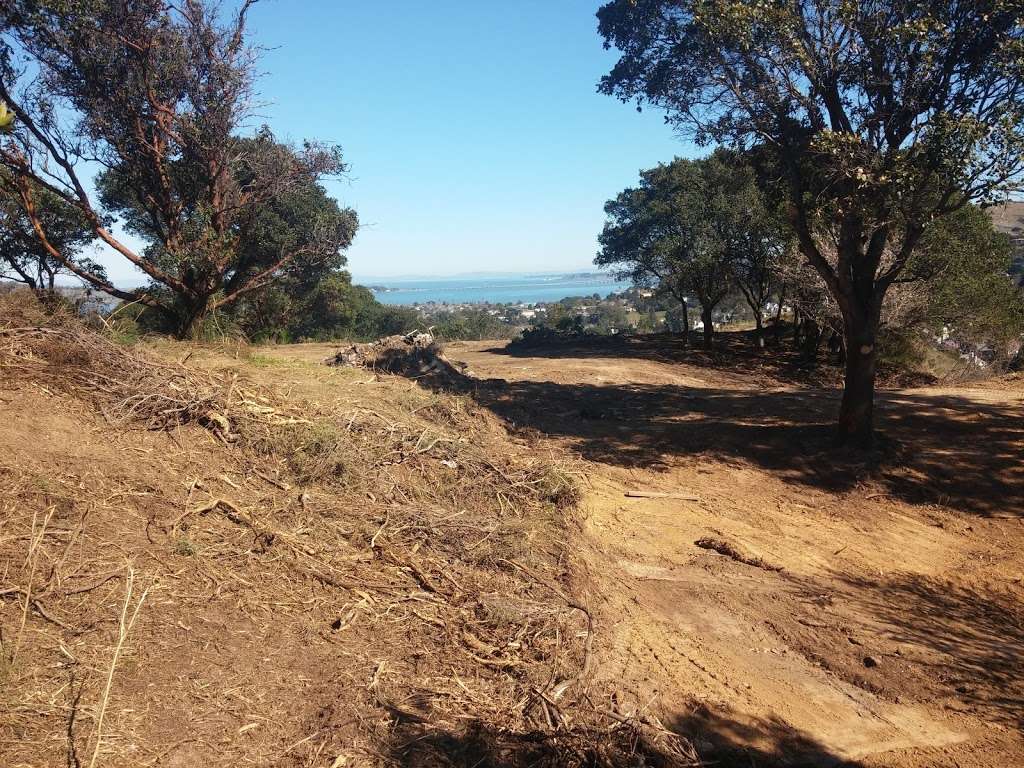 Tiburon Ridge Open Space Preserve | Corte Madera, CA 94925