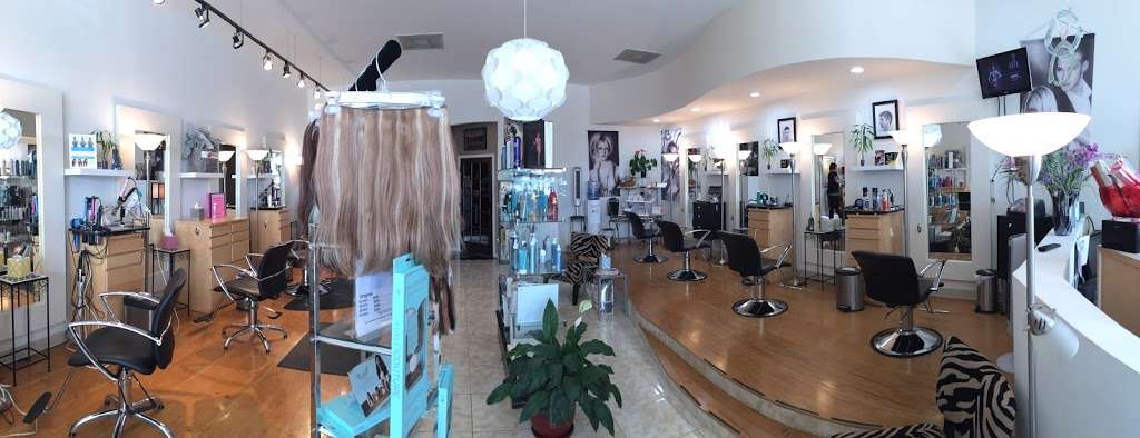 The Hair Color Salon | 6390 Louetta Rd, Spring, TX 77379, USA | Phone: (281) 379-3131