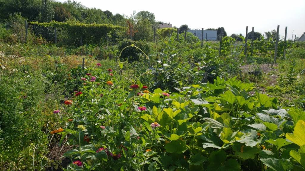 Wolk Park Community Gardens | Fellowship Ln, Burnsville, MN 55337, USA | Phone: (952) 895-4500