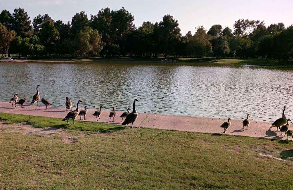 El Dorado East Regional Park | 7550 E Spring St, Long Beach, CA 90815, USA | Phone: (562) 570-1771