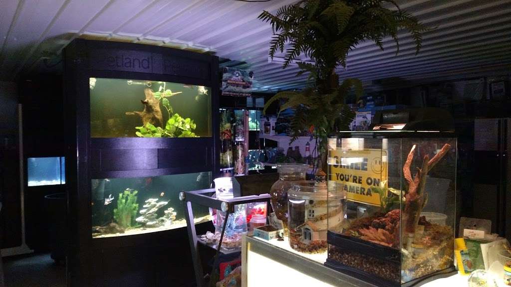 Pet & Bait Shop | 64730, Butler, MO 64730, USA | Phone: (660) 464-0165