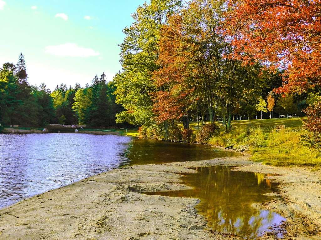 Promised land state park Conservation Island | Conservation Island, Greene Township, PA 18426, Greentown, PA 18426