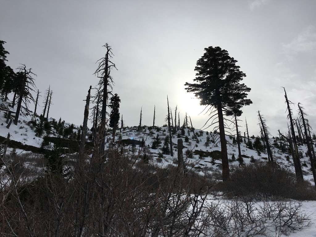 Kelly Camp | Mt Baldy, CA 91759, USA