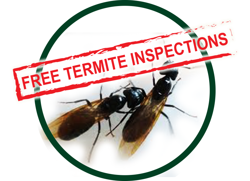 Kilter Termite & Pest Control - Orange County | 381 W Grove Ave, Orange, CA 92865, USA | Phone: (714) 406-2294