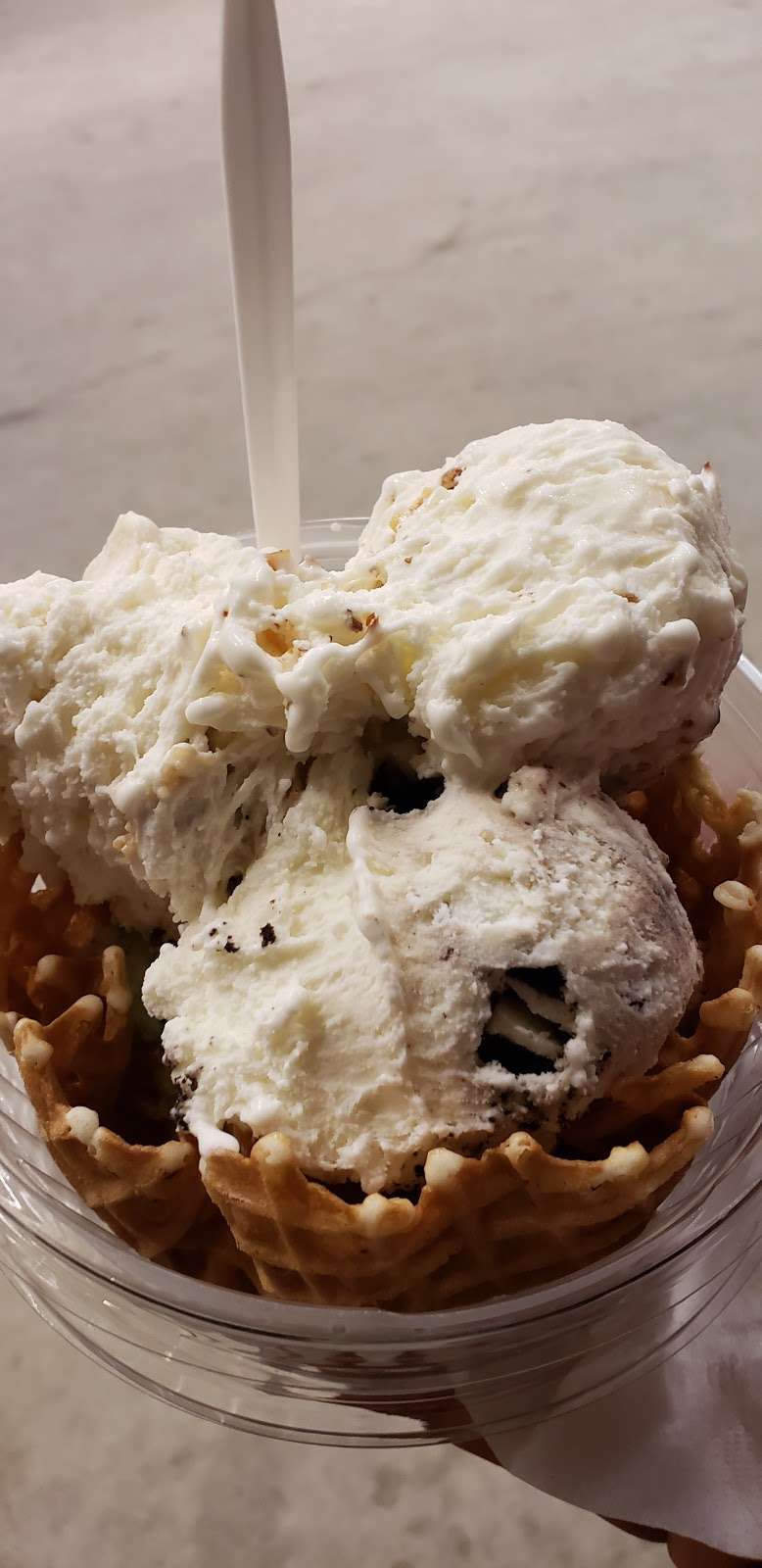 Brusters Real Ice Cream | 2450 FL-50, Clermont, FL 34711, USA | Phone: (352) 708-5851