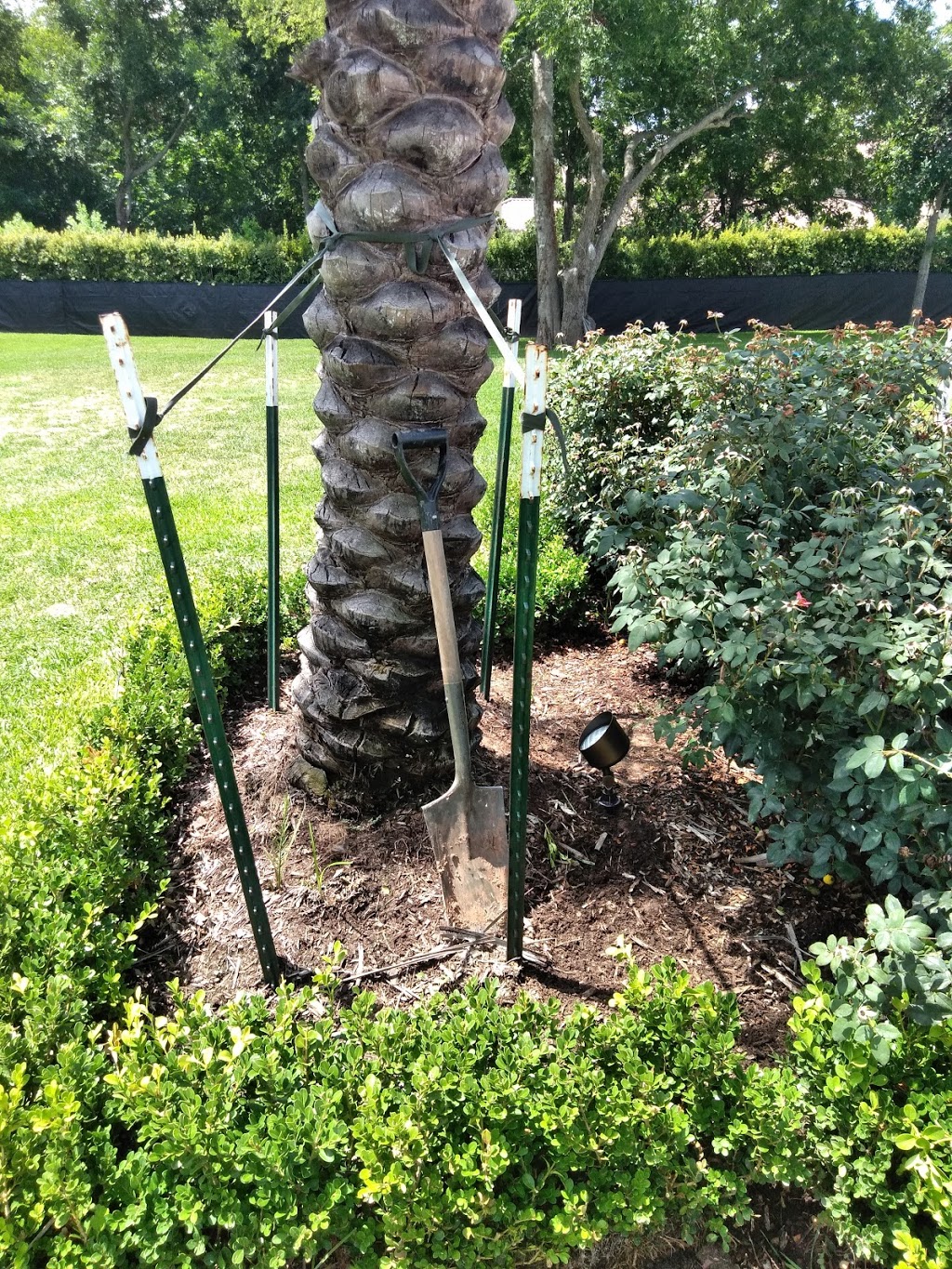 kingwood landscape and design on Majestic Landscape Lighting 938 Kingwood Dr 828 Kingwood Tx 77339 Usa