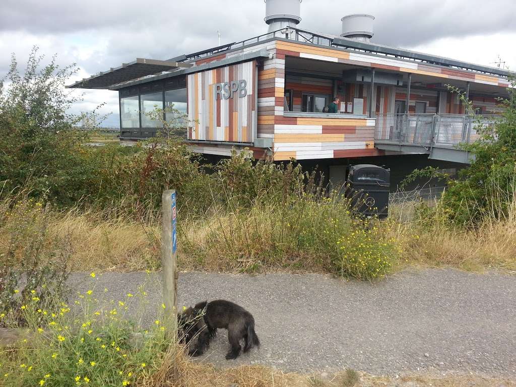 Rainham Marshes nature reserve | Purfleet Environmental and Educational Centre, New Tank Hill Rd, Purfleet, South Ockendon RM19 1SZ, UK | Phone: 01708 899840