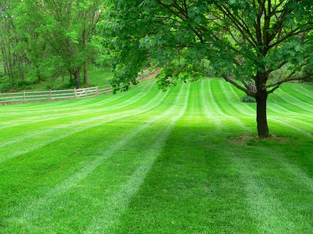 Greenland Landscape & Tree Service | 3543-3549 N Norfolk St, Indianapolis, IN 46224, USA | Phone: (317) 801-9782