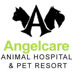 Angelcare Pet Resort | 1121 S Stuart Rd, Racine, WI 53406, USA | Phone: (262) 886-8728