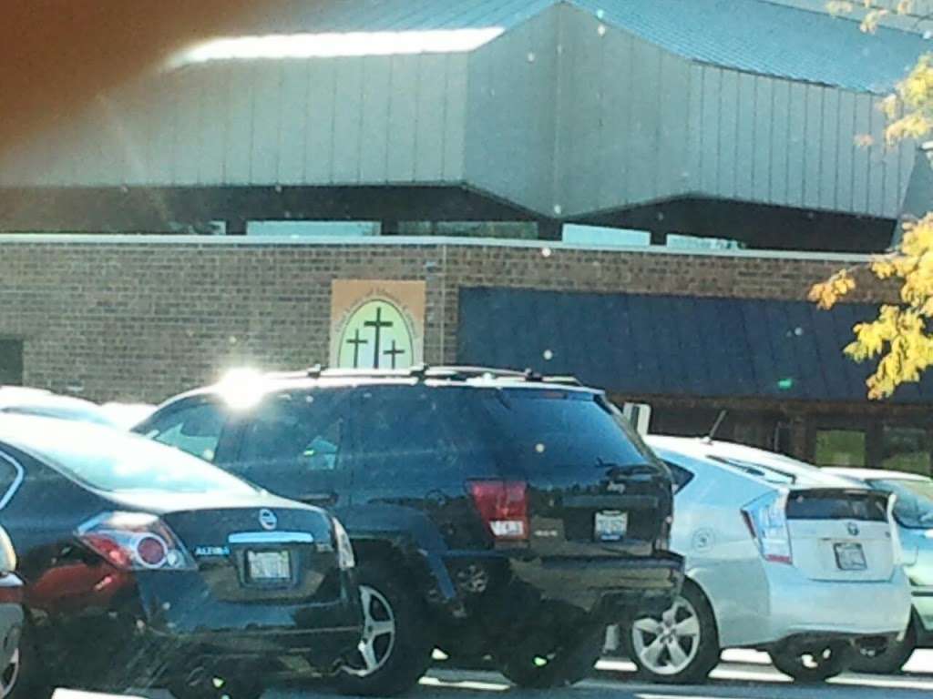 Our Lady of MT. Carmel Church | 8404 Cass Avenue, Darien, IL 60561, USA | Phone: (630) 852-3303