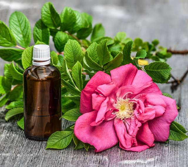 Air-Scent Services | 15811 Collins Ave Suite 806, Sunny Isles Beach, FL 33160, USA | Phone: (305) 747-8804 Air-Scent Services | 15811 Collins Ave Suite 806, Sunny Isles Beach, FL 33160, USA | Phone: (305) 747-8804