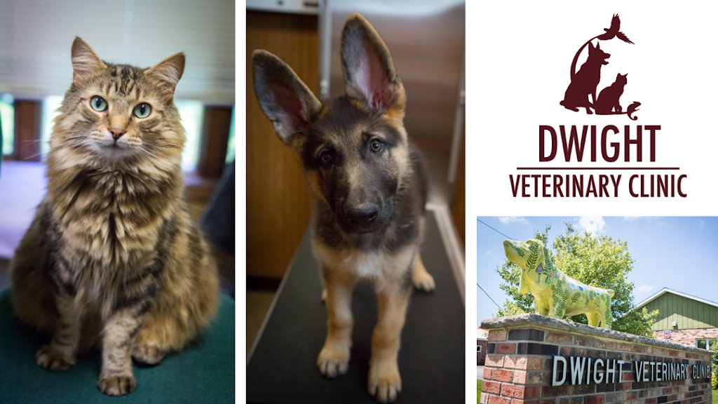 Dwight Veterinary Clinic | 305 S Old Rte 66, Dwight, IL 60420 | Phone: (815) 584-2732