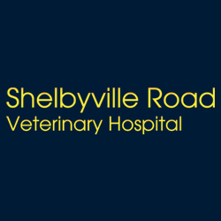 Shelbyville Road Veterinary Hospital | 5120 Shelbyville Rd, Indianapolis, IN 46237, USA | Phone: (317) 784-2773