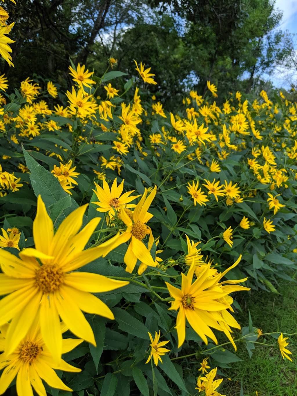 Neale Woods Nature Center | 14323 Edith Marie Ave, Omaha, NE 68112, USA | Phone: (402) 731-3140