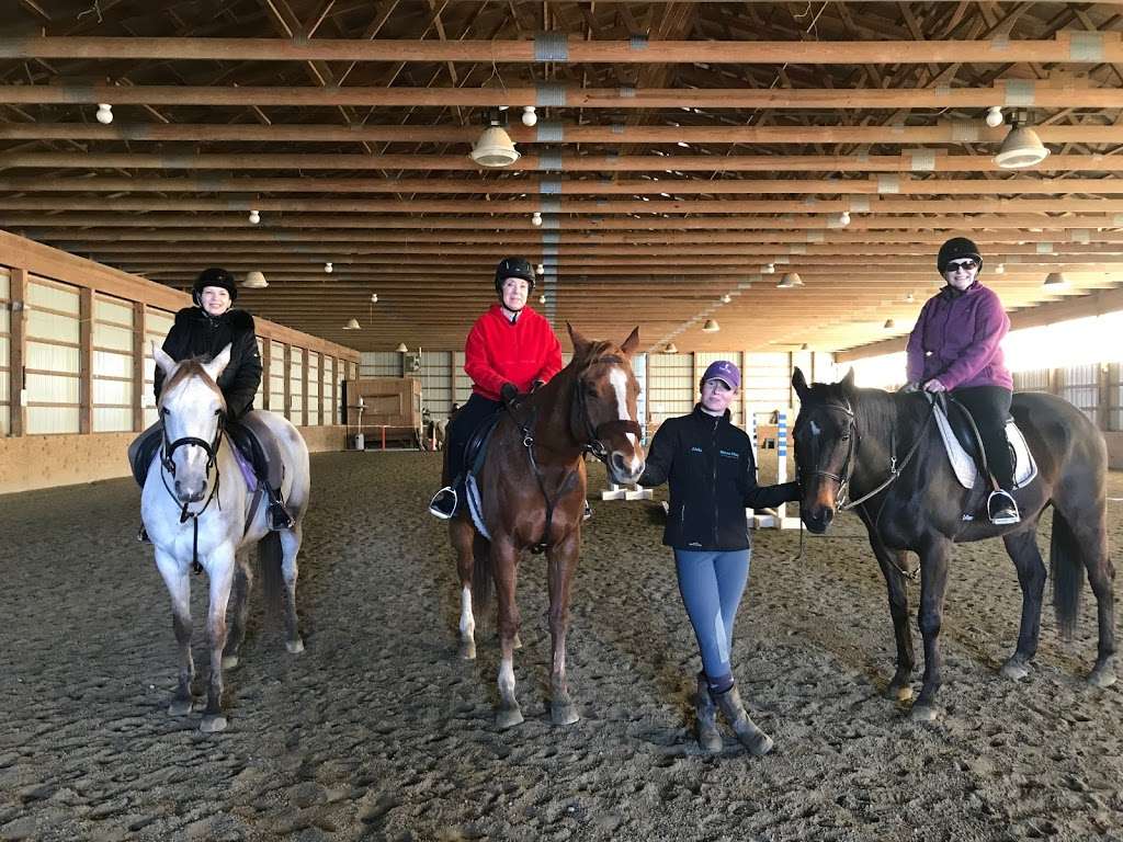 Horse Play Stables, LLC | 118 Federal Rd, Monroe Township, NJ 08831, USA | Phone: (732) 915-0092