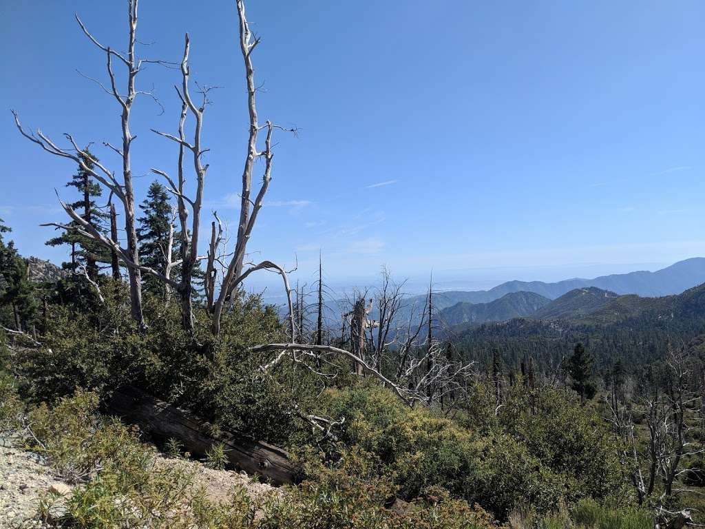 Big Cienega Trail | Azusa, CA 91702, USA