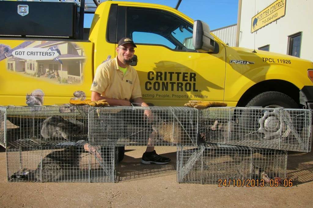 Critter Control | 9103 Emmott Rd, Houston, TX 77040, USA | Phone: (713) 334-4103