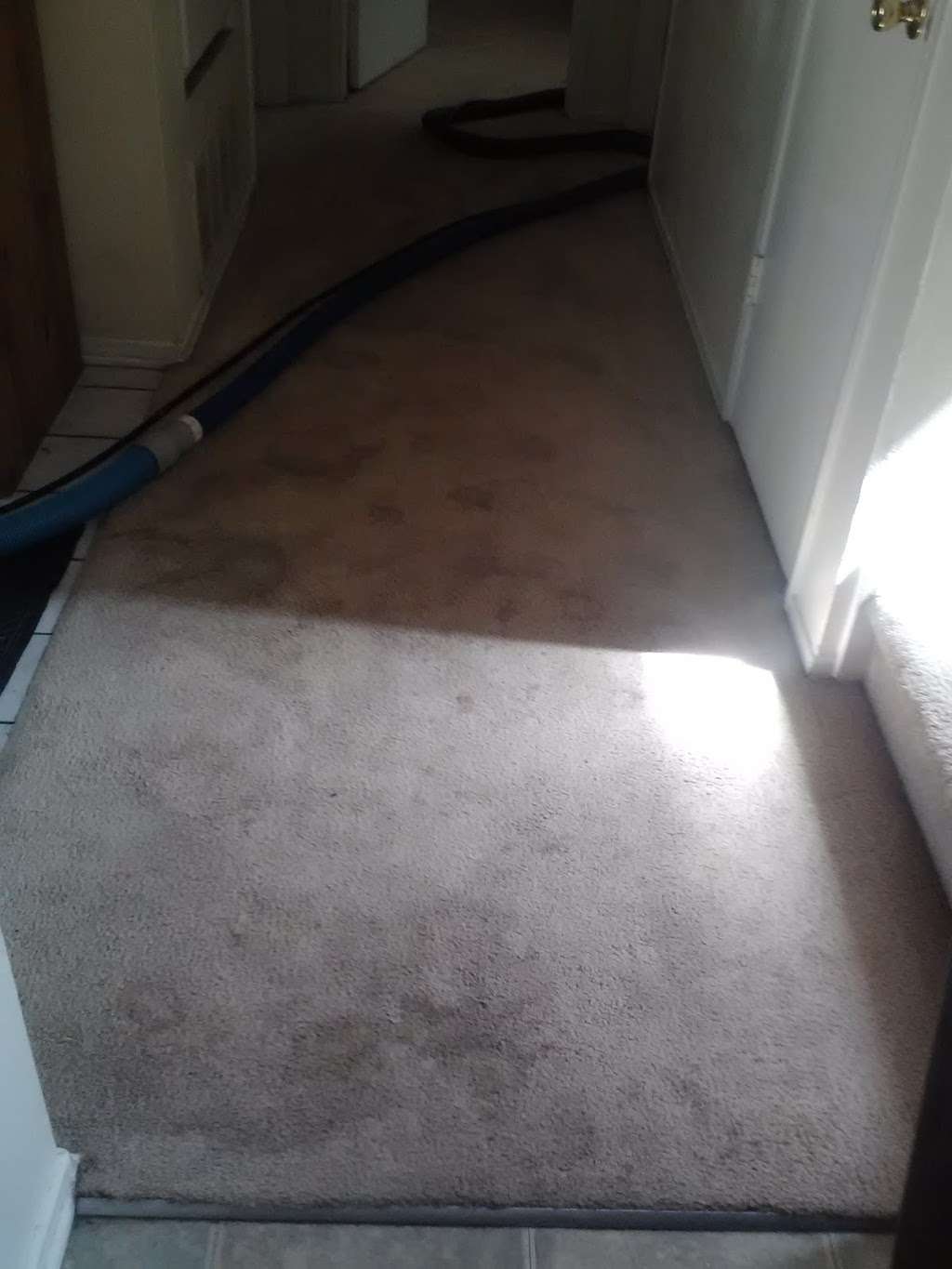 Richards Carpet Service | 21109 E Benwood St, Covina, CA 91724, USA | Phone: (626) 826-1787