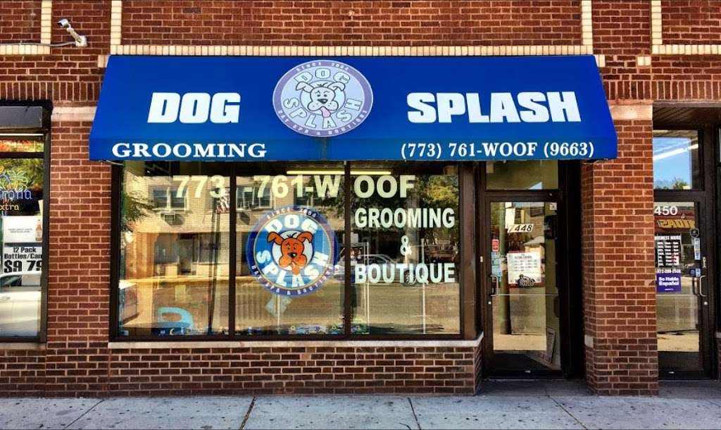 Dog Splash | 7448 N Western Ave, Chicago, IL 60645, USA | Phone: (773) 761-9663