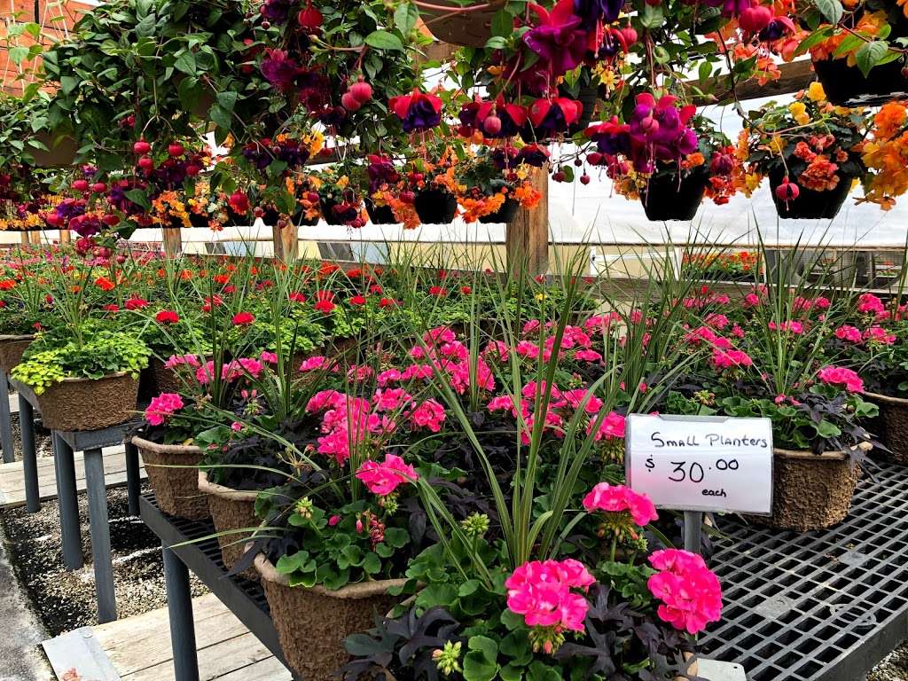 Tehan Greenhouses, Inc. | 1515 E Rawson Ave, Oak Creek, WI 53154, USA | Phone: (414) 762-9151