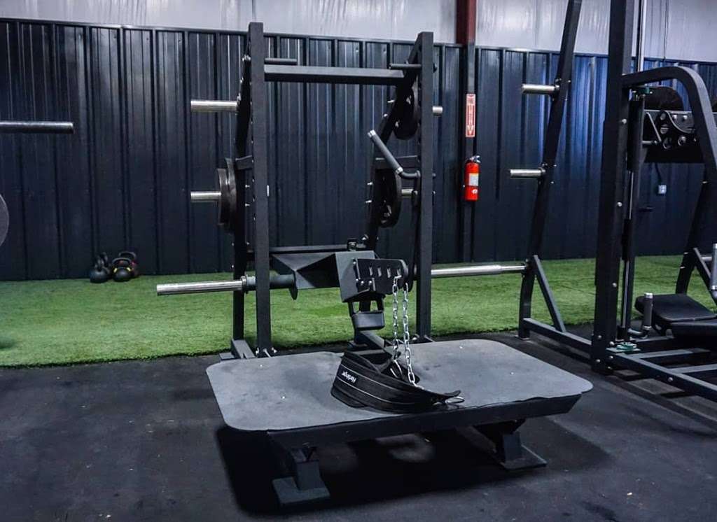 Roman Iron Gym | 1261 Butler Rd, League City, TX 77573 | Phone: (281) 316-3888