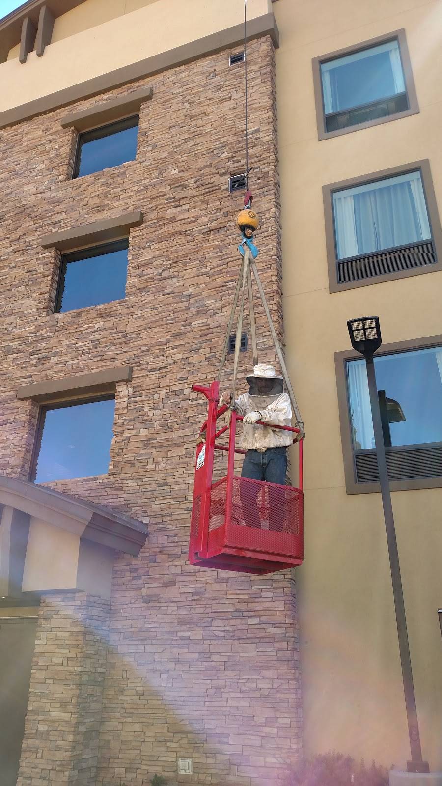 The Beehive Bee and Wasp Removal | 1852 E Bruce Ave, Gilbert, AZ 85234, USA | Phone: (602) 600-5382