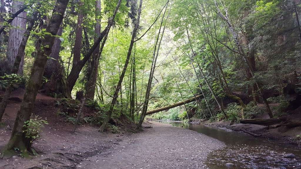 The Forest of Nisene Marks Entrance Station | 664-784 Aptos Creek Fire Rd, Aptos, CA 95003