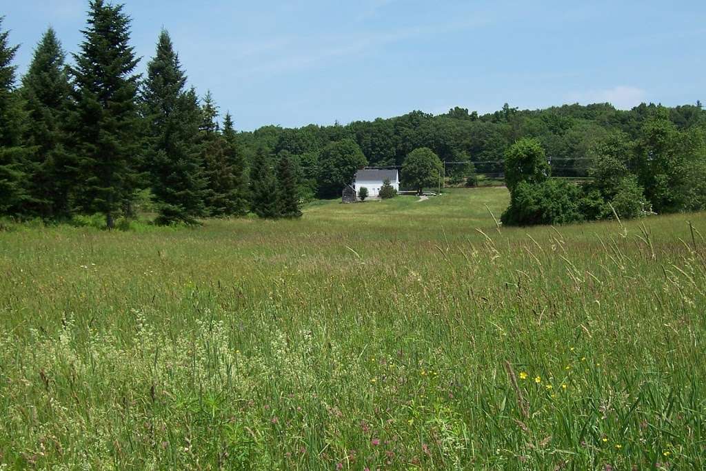 Steele Farm | 484 Middle Rd, Boxborough, MA 01719, USA | Phone: (978) 263-1116