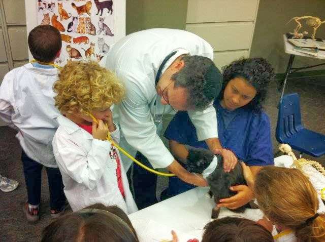 Little Vets After School Science Program | 193 Tarrytown Rd, White Plains, NY 10607, USA | Phone: (832) 377-5378