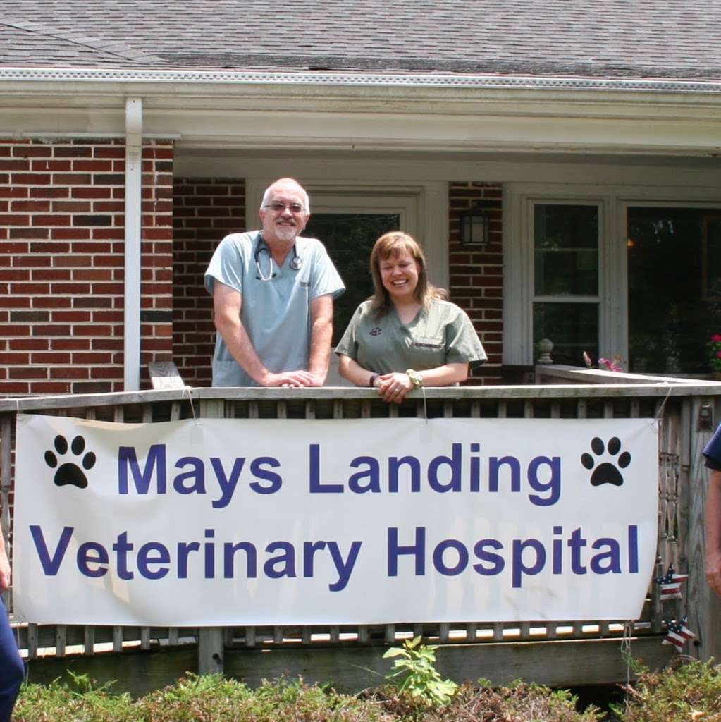 Mays Landing Veterinary Hospital, LLC | 2304 NJ-50, Mays Landing, NJ 08330 | Phone: (609) 909-8907