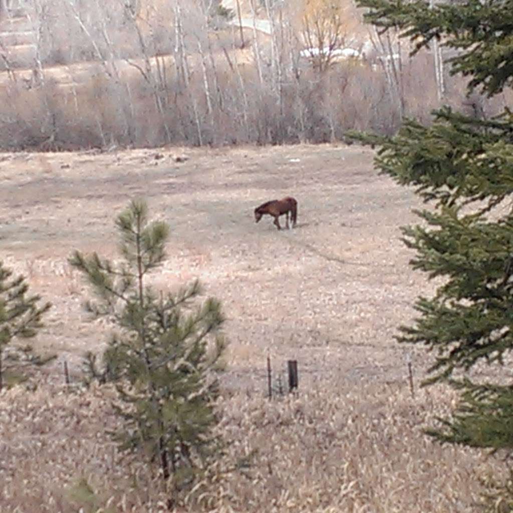 Turkey Creek Park | 6900 S Turkey Creek Rd, Morrison, CO 80465, USA