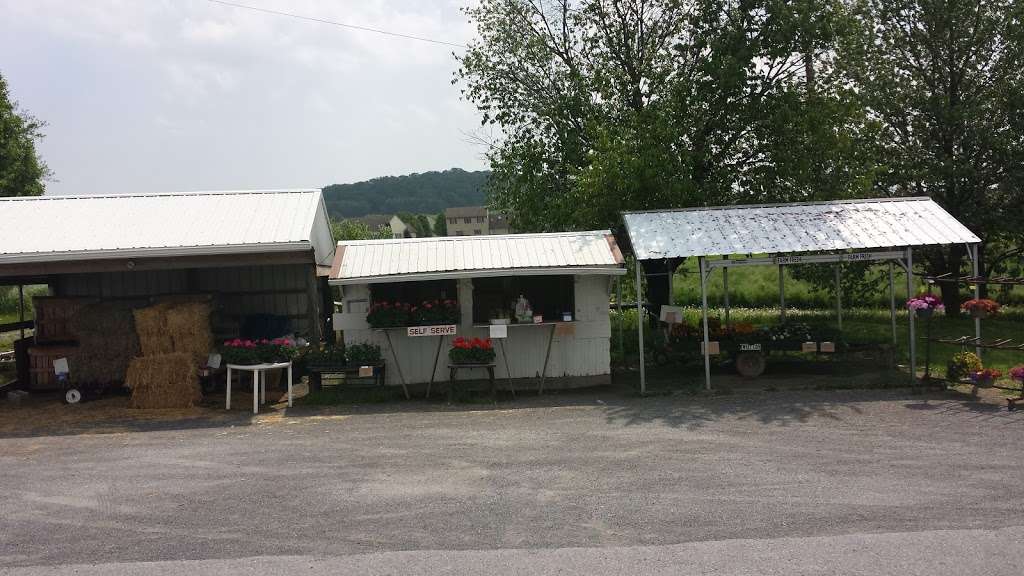 Cedar Lane Produce | 2005323100000, East Earl, PA 17519