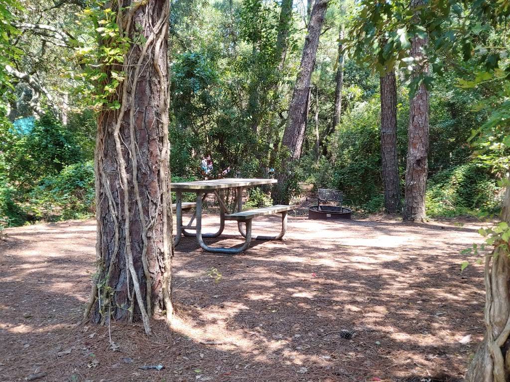 First Landing State Park Campground | US-60, Virginia Beach, VA 23459, USA | Phone: (800) 933-7275