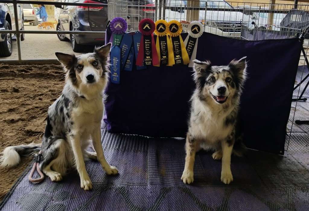 Thorsons Arena | 2005 Hayes Ln, San Martin, CA 95046, USA | Phone: (408) 310-7754