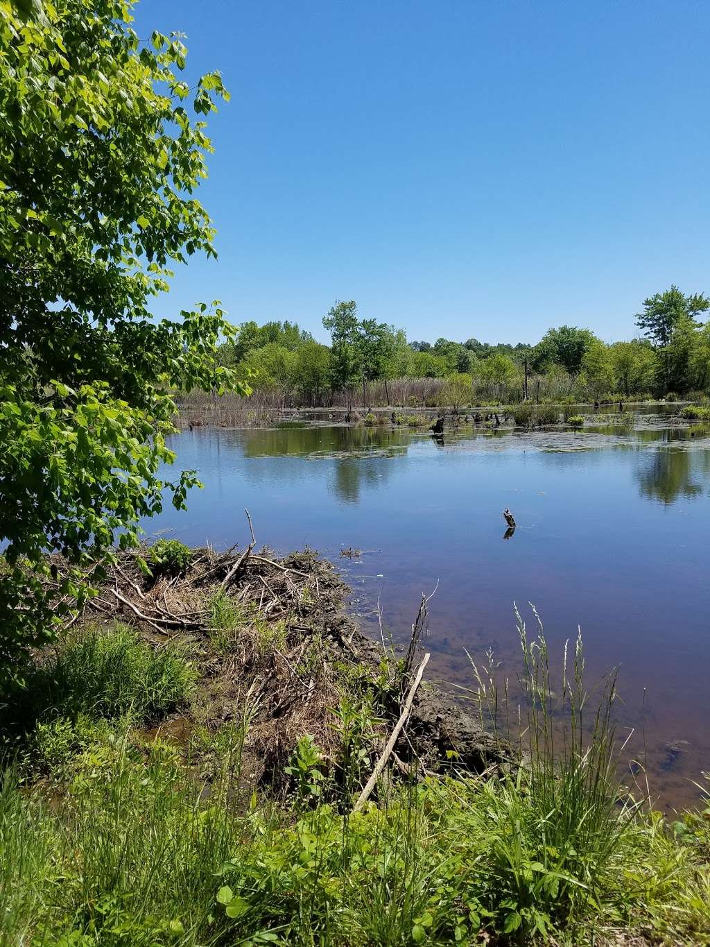 Wootons Landing Wetland Park | 4550 Sands Rd, Harwood, MD 20776, USA | Phone: (410) 741-9330