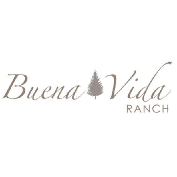 Buena Vida Ranch, Horse Boarding & Training | 1349 E Cleveland St, Hutchins, TX 75141, USA | Phone: (214) 552-6850