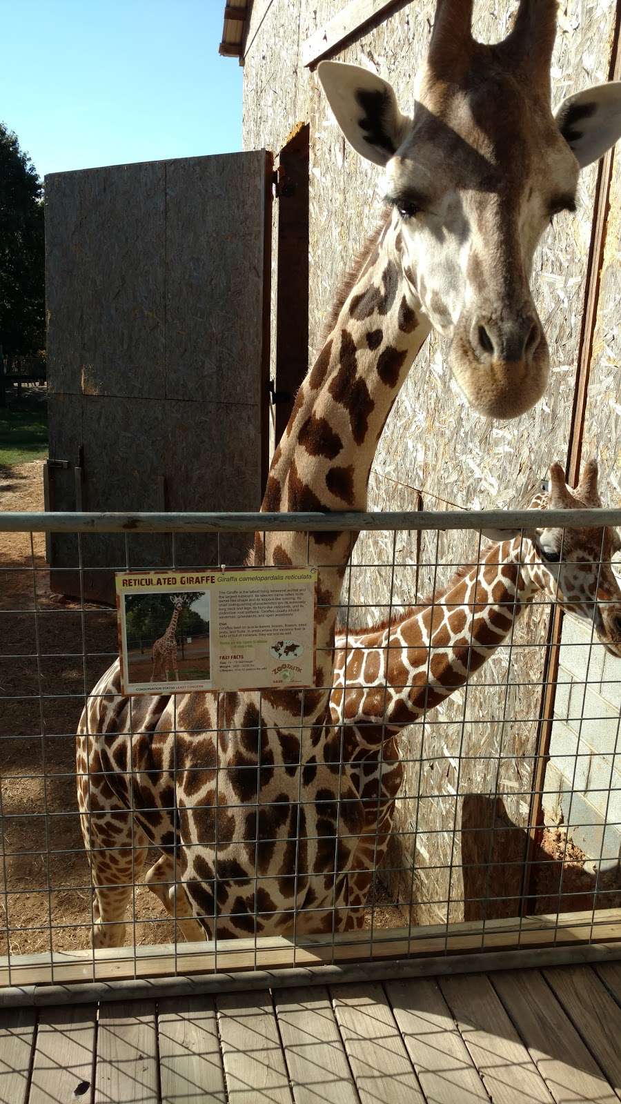 Zootastic Park | 448 Pilch Rd, Troutman, NC 28166, USA | Phone: (704) 245-6446