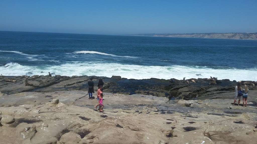 La Jolla Shores Park | 8300 Camino Del Oro, La Jolla, CA 92037, USA | Phone: (619) 221-8899