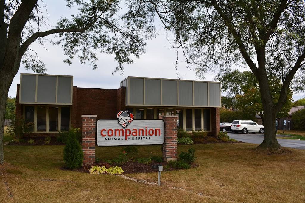 Companion Animal Hospital Mount Prospect | 2010 E Camp McDonald Rd, Mt Prospect, IL 60056, USA | Phone: (847) 296-1188