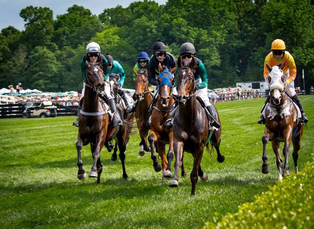 Queens Cup Steeplechase | 6103 Waxhaw Hwy, Mineral Springs, NC 28108, USA | Phone: (704) 843-7070