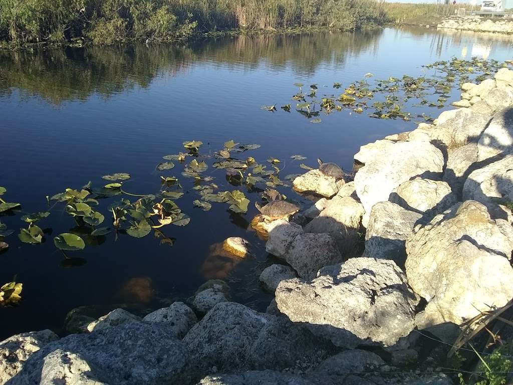 Parking Area | Florida