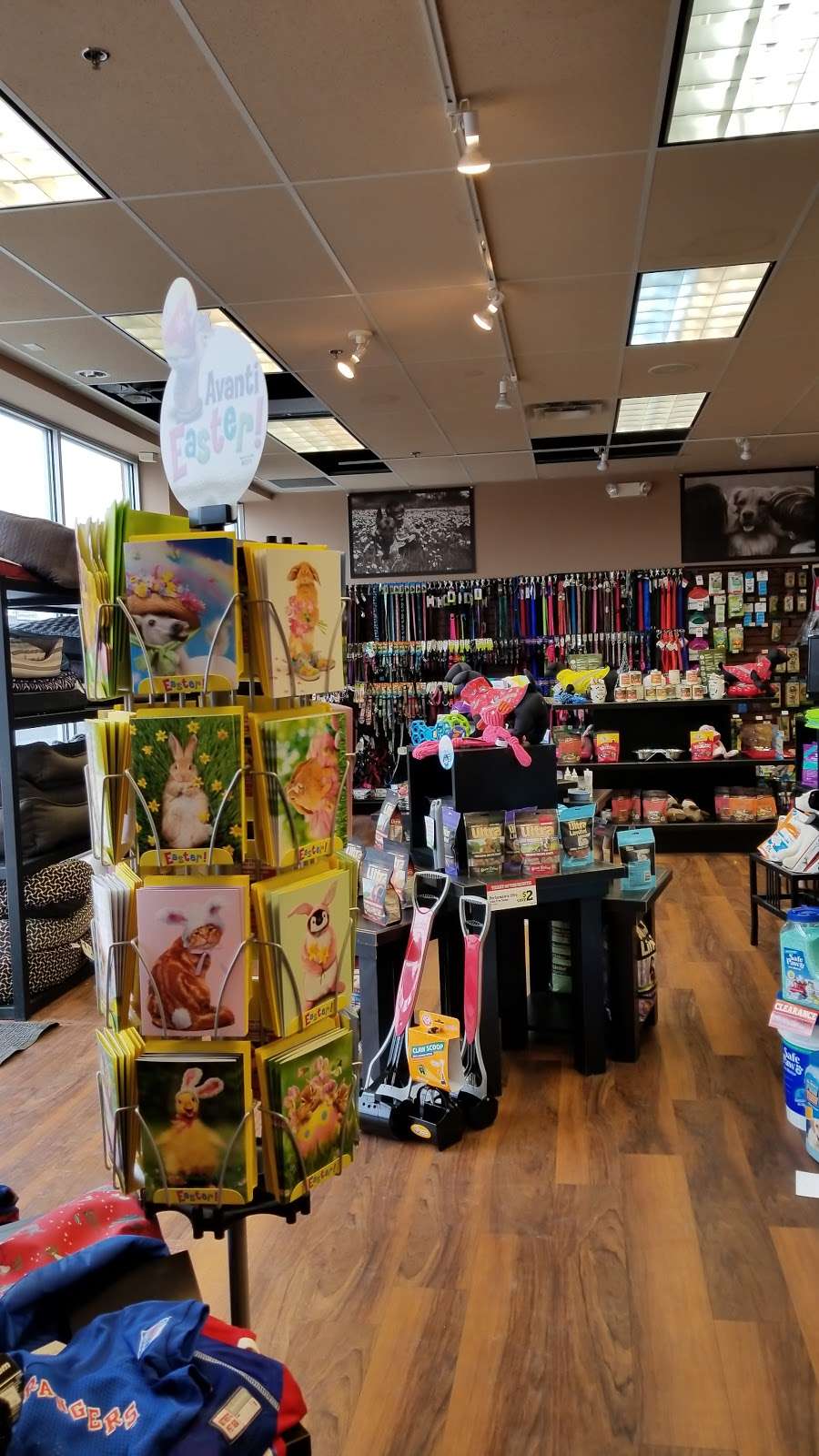 Pet Valu | 276 US Highway 202/31 N, Ste 107, Flemington, NJ 08822, USA | Phone: (908) 824-7096