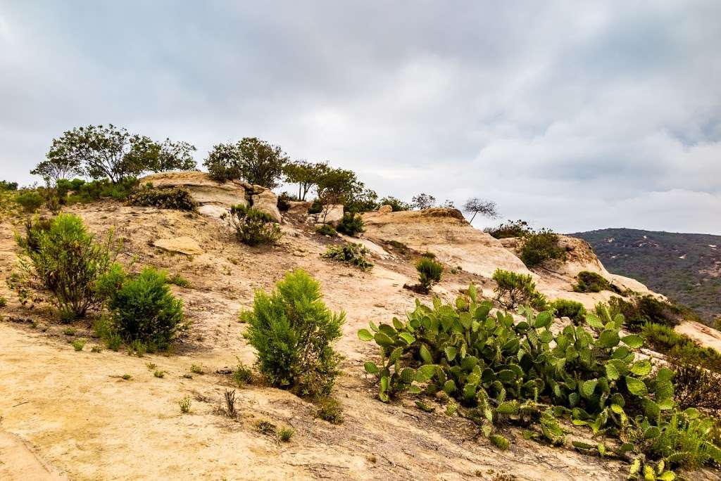 Coastal Peak Park | 20403 E Coastal Peak, Newport Coast, CA 92657, USA | Phone: (949) 644-3309