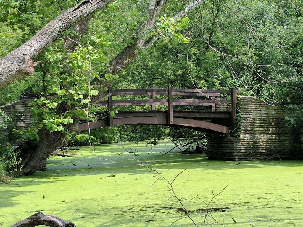 Fullersburg Woods Nature Education Center | 3609 Spring Rd, Oak Brook, IL 60523 | Phone: (630) 850-8110